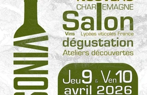 Vinoscola Carcassonne